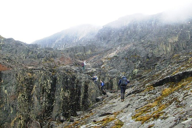 Mountain Rwenzori Trekking Uganda 9 Day Safari - Day 5 Bujuku hut to Scott Eliot Pass and Elena hut
