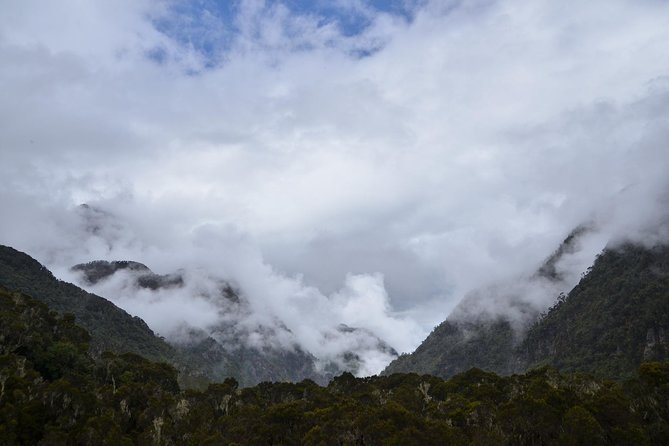 Mountain Rwenzori Trekking Uganda 9 Day Safari - Price and value: what your $2,390 budget really covers