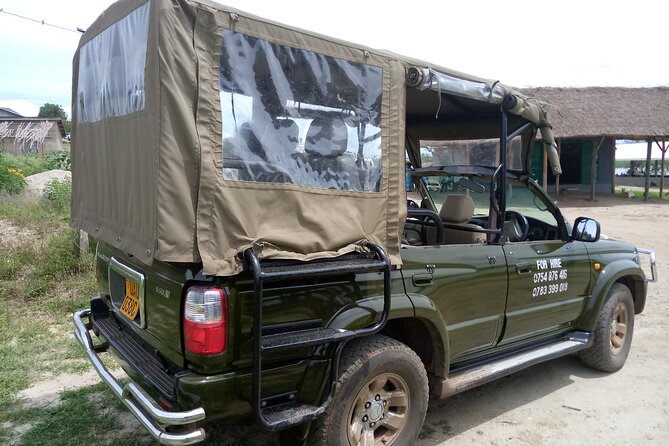 Private 3-Day Tour in Queen Elizabeth Park Safari - Who This Private Safari Suits Best