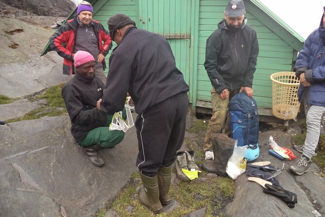 Rwenzori Mountains Trekking with Margherita Peak Summit - Day 1, Nyakalengijja to Nyabitaba Hut: forest, rivers, and the first climb