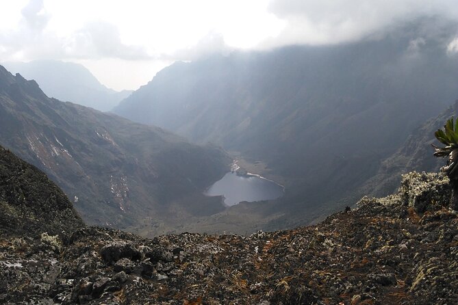 Rwenzori Mountains Trekking with Margherita Peak Summit - Day 2, Nyabitaba to John Matte Hut: Kurt Shafer Bridge and slippery moss rock