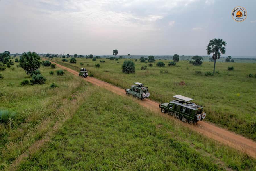The Big5 3 Days Wildlife Adventure Experience in Uganda. - Big Five style, minus the rushing: how this 3 days really flows