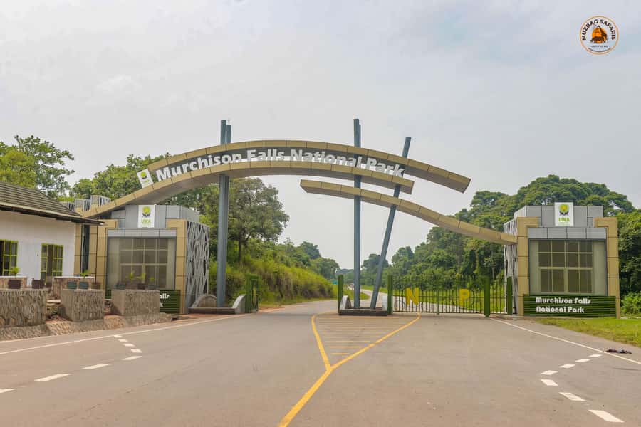 The Big5 3 Days Wildlife Adventure Experience in Uganda. - Murchison Falls: boat cruise, gorge roar, then the top viewpoint hike