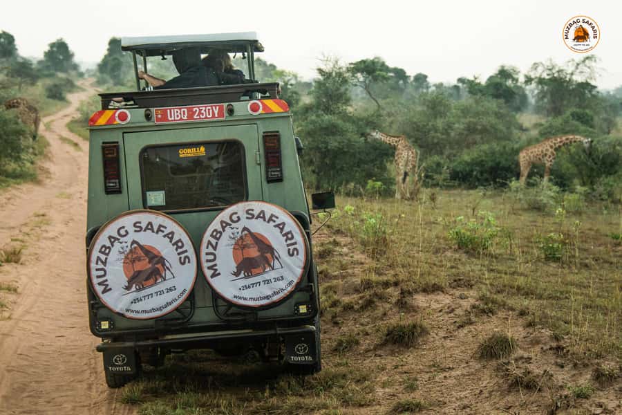 The Big5 3 Days Wildlife Adventure Experience in Uganda. - Ziwa Rhino Sanctuary: tracking white rhinos with meaning