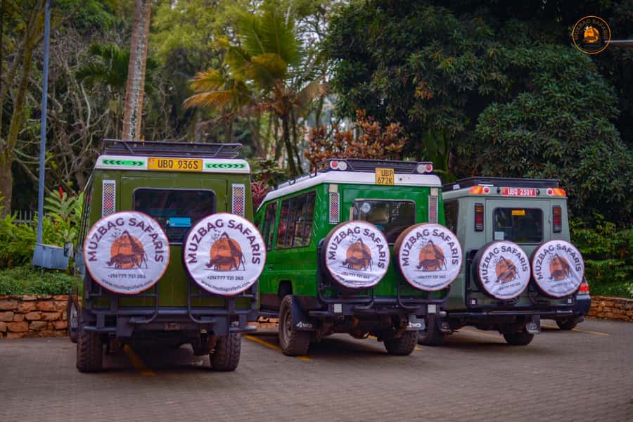 The Big5 3 Days Wildlife Adventure Experience in Uganda. - Kampala to Murchison Falls: the 6-hour drive that sets your expectations