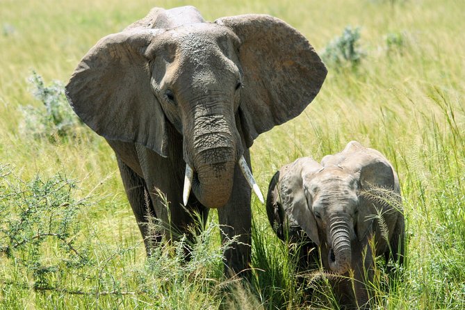 Uganda Wildlife Holiday - 8 Days - Key Highlights You Should Care About