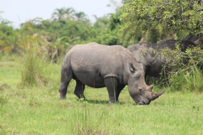 Unforgettable 3 days Murchison falls. - Day 3 Road back to Kampala with one final lunch stop