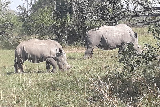 Zziwa Rhino Sanctuary Walking Safari - FAQ